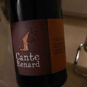 Jaja Land - Philippe Pibarot - Cante Renard
