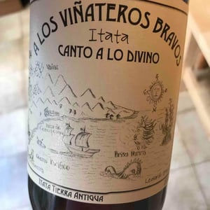 Canto A Lo Divino - A Los Viñateros Bravos / Onda Brava - Leonardo Erazo 