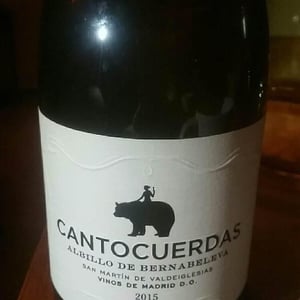 Cantocuerdas - Bernabeleva - miguel-maestre-chimeno-juan-diez-bulnes