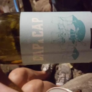 Cap Al Tap Rouge - Domaine Le Verdus - Aline Solignac & Philippe Rousseau 