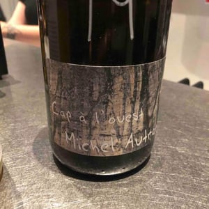 Cap à l'Ouest - Michel Autran - Michel Autran 