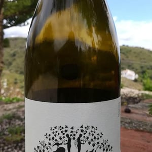 Capficat - Celler Credo - Ton Mata Moliner 