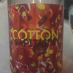 Capitaine Cotton - Rémi - marc-ollivier-remi-branger-gwenaelle-croix