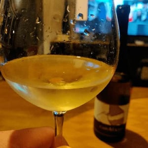 Capovolto - La Marca di San Michele - Alessandro Bonci 