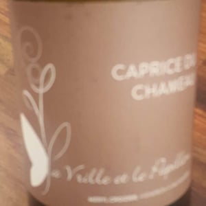 La Vrille et le Papillon - Géraldine & Méryl Croizier - Caprice du Chameau