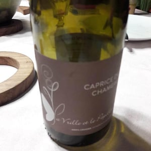 Caprice du Chameau - La Vrille et le Papillon - geraldine-meryl-croizier