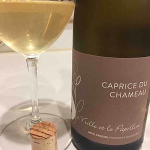 Caprice du Chameau - La Vrille et le Papillon - Géraldine & Méryl Croizier 
