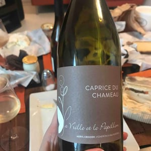 Caprice du Chameau - La Vrille et le Papillon - Géraldine & Méryl Croizier 