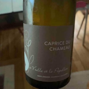 Caprice du Chameau - La Vrille et le Papillon - Géraldine & Méryl Croizier 