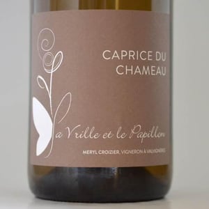 Caprice du Chameau - La Vrille et le Papillon - geraldine-meryl-croizier