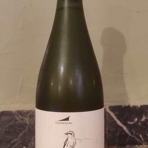 Capsigrany - El Celler de les Aus - josep-maria-mireia-pujol-busquets