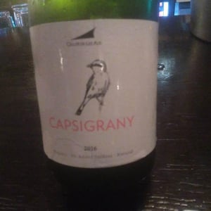 Capsigrany - El Celler de les Aus - josep-maria-mireia-pujol-busquets