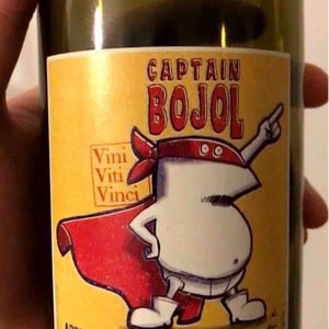Captain Bojol - Vini Viti Vinci - Nicolas Vauthier "Kikro" 