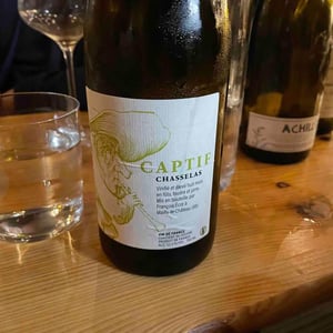 Captif - Chai L'insolent - francois-ecot