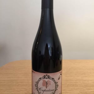 Capciera - Château Bouissel - isabelle-et-nicolas-selle -2017
