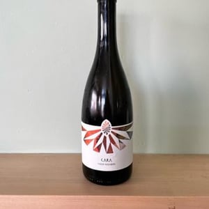 Cara - Weingut Ploder Rosenberg - manuel-ploder-selina-weratschnig