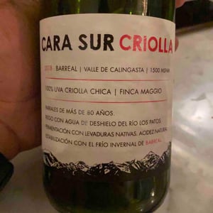 Cara Sur Criolla - Cara Sur - sebastian-zuccardi-marcela-manini-nuria-ano-gargiulo-and-pancho-burgallo