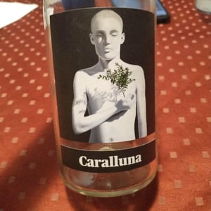 Caralluna - Empordà - mas-patiras