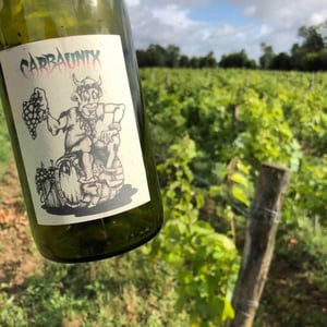 Carbaunix - Domaine Du Bois Rond - melanie-dedron-et-igor-denat
