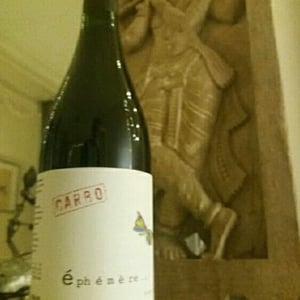 Carbo Éphémère - Domaine Miolanne - jean-baptiste-deroche-laure-cartier