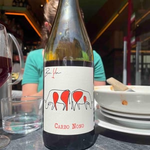 Carbo Nono - Domaine De Bonvin - Manu & Jean-Baptiste Roux 