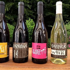 Domaine Léonine - Jordan Le Guyader - Carbone 14