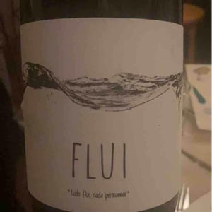 Flui carbônico - Quinta do Paço (Humus) - Rodrigo Filipe -2019
