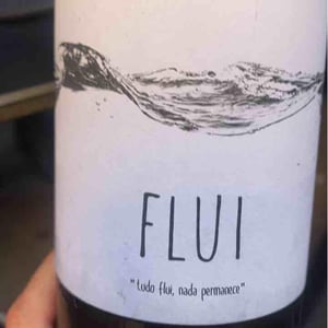 Flui carbônico - Quinta do Paço (Humus) - Rodrigo Filipe -2019