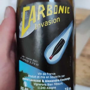 Carbonic Invasion - Domaine Thuronis - Vigneron Bien Fêteur - Alexandre Coulange & Astrid Lerouxel 