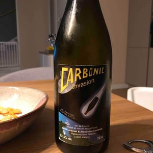 Domaine Thuronis - Vigneron Bien Fêteur - Alexandre Coulange & Astrid Lerouxel - Carbonic Invasion