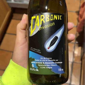 Domaine Thuronis - Vigneron Bien Fêteur - Alexandre Coulange & Astrid Lerouxel - Carbonic Invasion