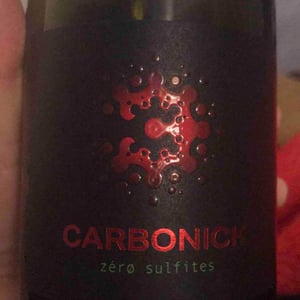 Carbonick - Masques - carl-sophie-mestdagh