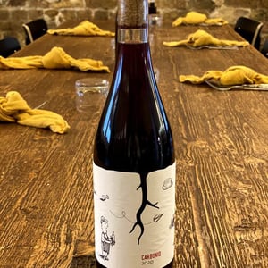 Carboniq - Vino Magula - vladimir-magula-junior-magula-family
