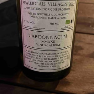 Cardonnacum - Domaine des Buis Rond - quentin-harel -2021