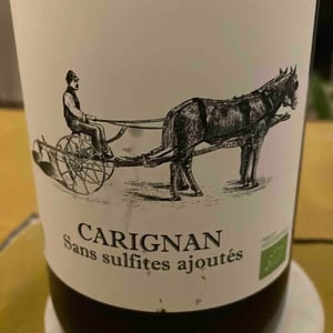 Carignan - Domaine du Clos Roca - louis-aleman -2020