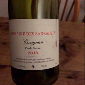 Carignan - Domaine des Sarradels - remi-synadinos-koval
