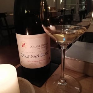 Carignan Blanc - Domaine Ledogar - Xavier, Mathieu & Benoît Ledogar 