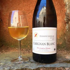 Carignan Blanc 15