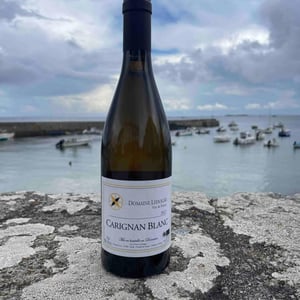 Carignan Blanc - Domaine Ledogar - xavier-mathieu-benoit-ledogar
