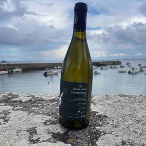 Carignan Blanc - Domaine Ledogar - xavier-mathieu-benoit-ledogar