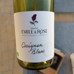 Carignan Blanc - Emile & Rose (ex-Domaine des 1000 Roses) - Caroline & Marcel Gisclard 