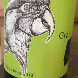 Carignan Blanc - Grain D’L - Gaëlle Steunou 