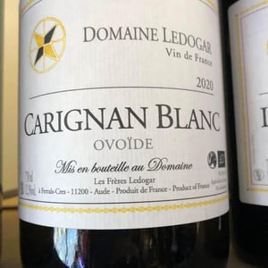 Carignan Blanc Ovoïde - Domaine Ledogar - xavier-mathieu-benoit-ledogar