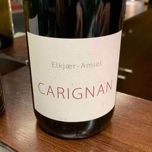 Carignan 2019 - Elkjaer-Amiel - Rune Elkjaer & Anaïs Amiel