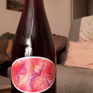 Carignan - Domaine Sylvain Saux - domaine-sylvain-saux