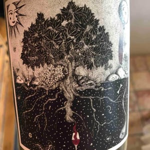 Carignan Radical - Pèira Levada - Alexandre Durand 