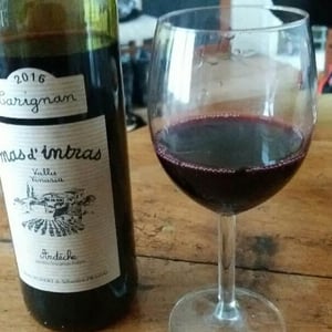 Mas D'Intras - Sébastien Pradal & Denis Robert - Carignan
