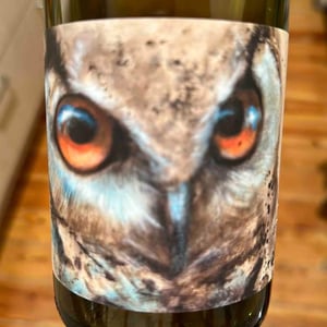 Carignan Vieilles Vignes - Domaine Blanc Plume - Raphaël Colin 