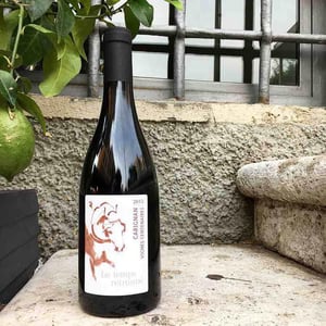 Carignan Vignes Centenaires