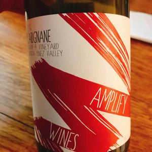 Carignane Camp 4 Vineyard - Santa Ynez Valley - cameron-marlen-porter